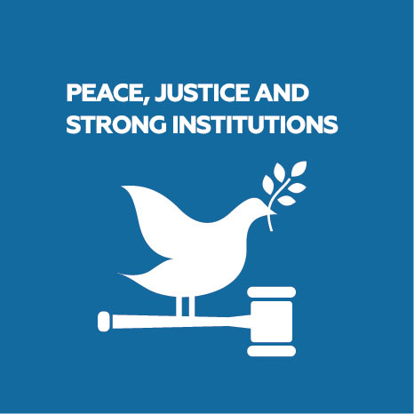 Peace, justice and strong institutions